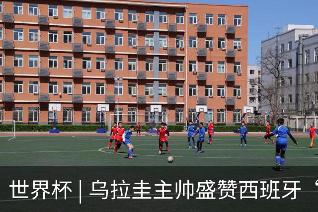 世界杯 | 乌拉圭主帅盛赞西班牙“精致足球”